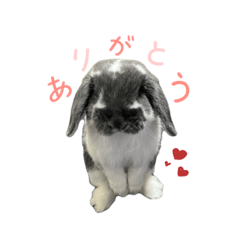 [LINEスタンプ] シルフィすたんぷ2