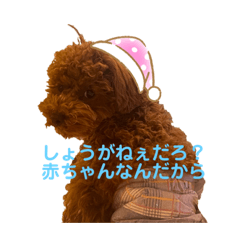 [LINEスタンプ] マロンとシンバの毎日♡2