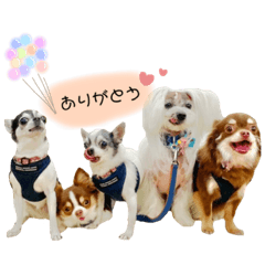 [LINEスタンプ] 桃太郎軍団