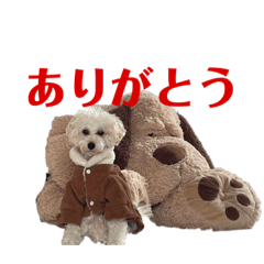 [LINEスタンプ] soyのスタンプ2