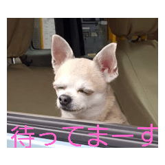 [LINEスタンプ] コロンの母スタンプ