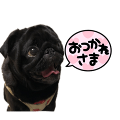 [LINEスタンプ] ノアくんその①