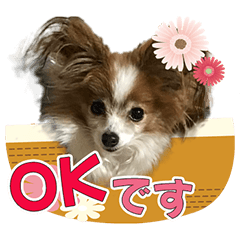 [LINEスタンプ] ちっちゃいパピヨン 日常編