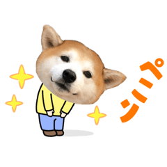 [LINEスタンプ] 柴犬の源次郎3