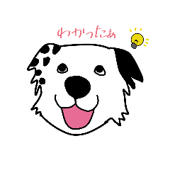 [LINEスタンプ] ボーダーコリー喜白右衛門1