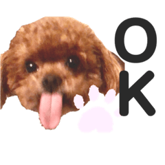 [LINEスタンプ] クッティーちゃん