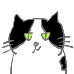 [LINEスタンプ] 乳牛猫Yoyo