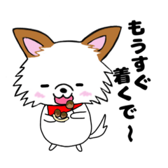 [LINEスタンプ] 毎日使える関西弁チワワ