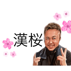 [LINEスタンプ] 漢桜（OTOKOBANA）