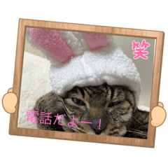 [LINEスタンプ] クーちゃんスタンプ（面白い編）