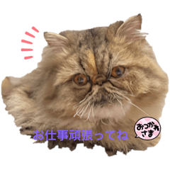 [LINEスタンプ] ミロの小言2