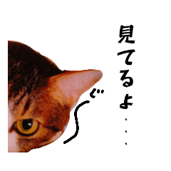 [LINEスタンプ] ビビさんアンちゃんスタンプ2