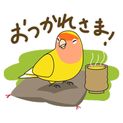 [LINEスタンプ] コザクラインコの挨拶スタンプ