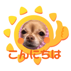 [LINEスタンプ] わちる＆あぐり－日常会話＊オールシーズン
