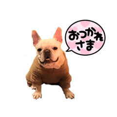 [LINEスタンプ] フレブルのマイル8