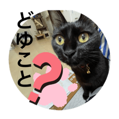 [LINEスタンプ] 長女 にぼし②