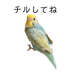 [LINEスタンプ] チル❶