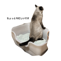 [LINEスタンプ] あんずですよ