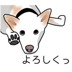 [LINEスタンプ] MIX中型犬HANA花スタンプ