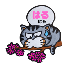 [LINEスタンプ] ネコスタンプにゃ！