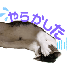 [LINEスタンプ] しらたまさん②
