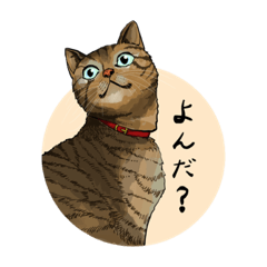 [LINEスタンプ] どうぶつたちのキモチ