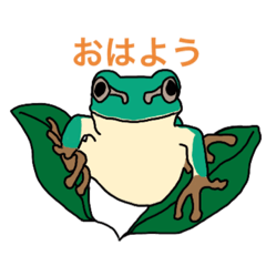 [LINEスタンプ] カエルは可愛い❤️