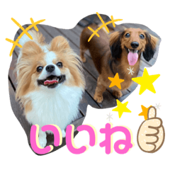 [LINEスタンプ] ロア＆モアスタンプby PET HONOKA