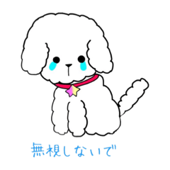 [LINEスタンプ] 白トイプーのNICOちゃん
