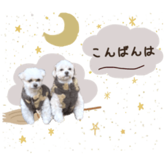 [LINEスタンプ] コロコロポンポン