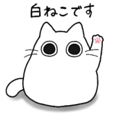 [LINEスタンプ] もちゃねこ白