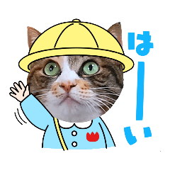 [LINEスタンプ] うちのキジトラ＆三毛猫♪