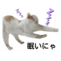 [LINEスタンプ] cat talk lovecat