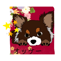 [LINEスタンプ] 使いやすいちわわスタンプ