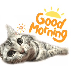 [LINEスタンプ] ラビ1歳記念スタンプ☀️