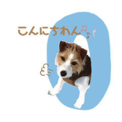 [LINEスタンプ] おかかといとたいスタンプPart2