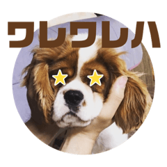 [LINEスタンプ] イッヌスタンプ⑤