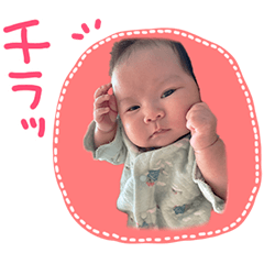 [LINEスタンプ] ひーちゃんべびーすたんぷ