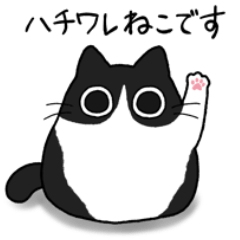 [LINEスタンプ] もちゃねこハチワレ