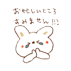 [LINEスタンプ] ず～っと使える可愛い白うさぎ1