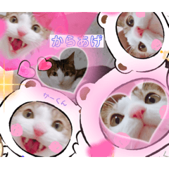 [LINEスタンプ] からあげは猫の名前です。part3
