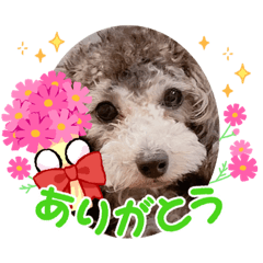 [LINEスタンプ] りきゅうくん2