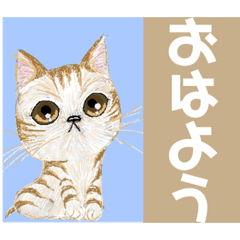 [LINEスタンプ] 毎日ネコさん挨拶便利気軽に使えるスタンプ