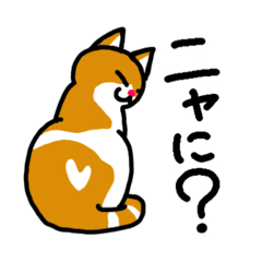 [LINEスタンプ] ねこってニャに？