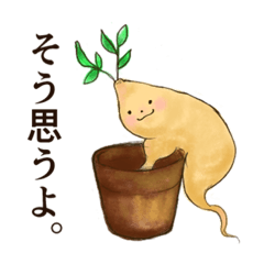 [LINEスタンプ] 君のミカタ。がじゅまるちゃん。（相づち）