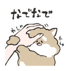 [LINEスタンプ] 長老さんと犬きちくん空を飛ぶ