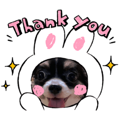 [LINEスタンプ] Bokuwa Ushidesu！！