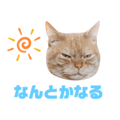 [LINEスタンプ] ぶんぶん(♂)スタンプ2