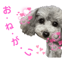 [LINEスタンプ] 小悪魔メグ