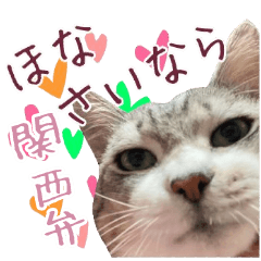 [LINEスタンプ] 保護猫ラムの写真スタンプ Ver関西弁の画像（メイン）